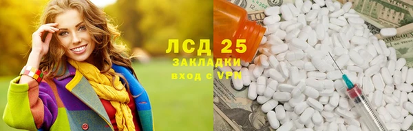 шишки Новодвинск