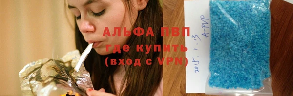 шишки Новодвинск