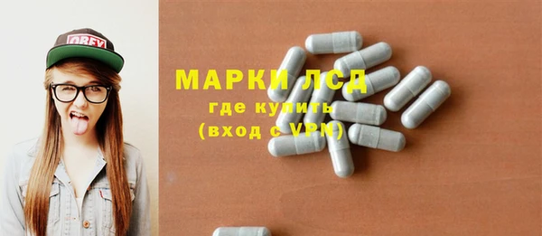 шишки Новодвинск