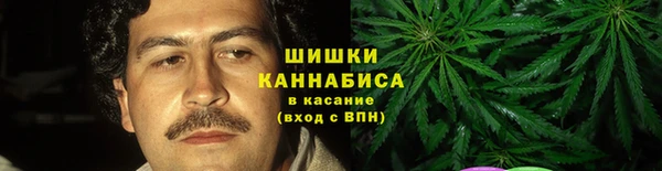 шишки Новодвинск