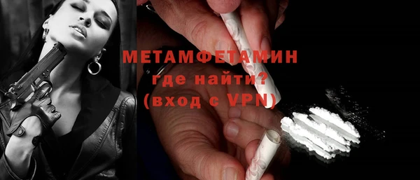 шишки Новодвинск
