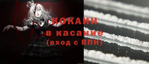 шишки Новодвинск