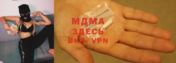шишки Новодвинск
