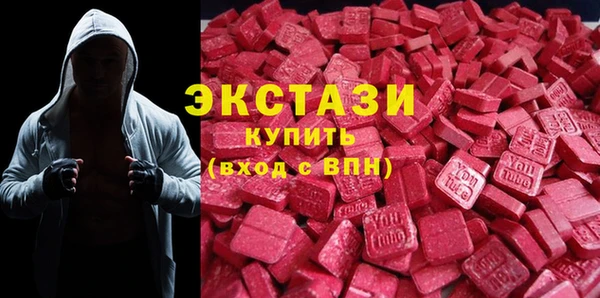 шишки Новодвинск