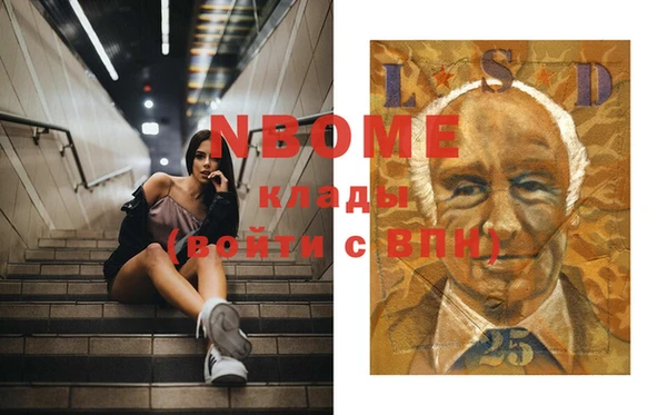 шишки Новодвинск