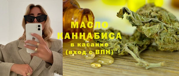 шишки Новодвинск