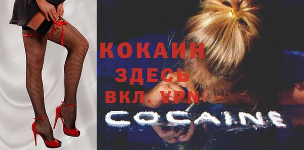шишки Новодвинск
