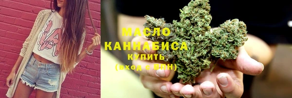 шишки Новодвинск