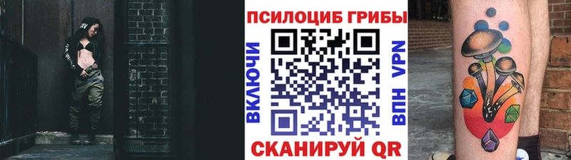 Галлюциногенные грибы GOLDEN TEACHER  Чкаловск 